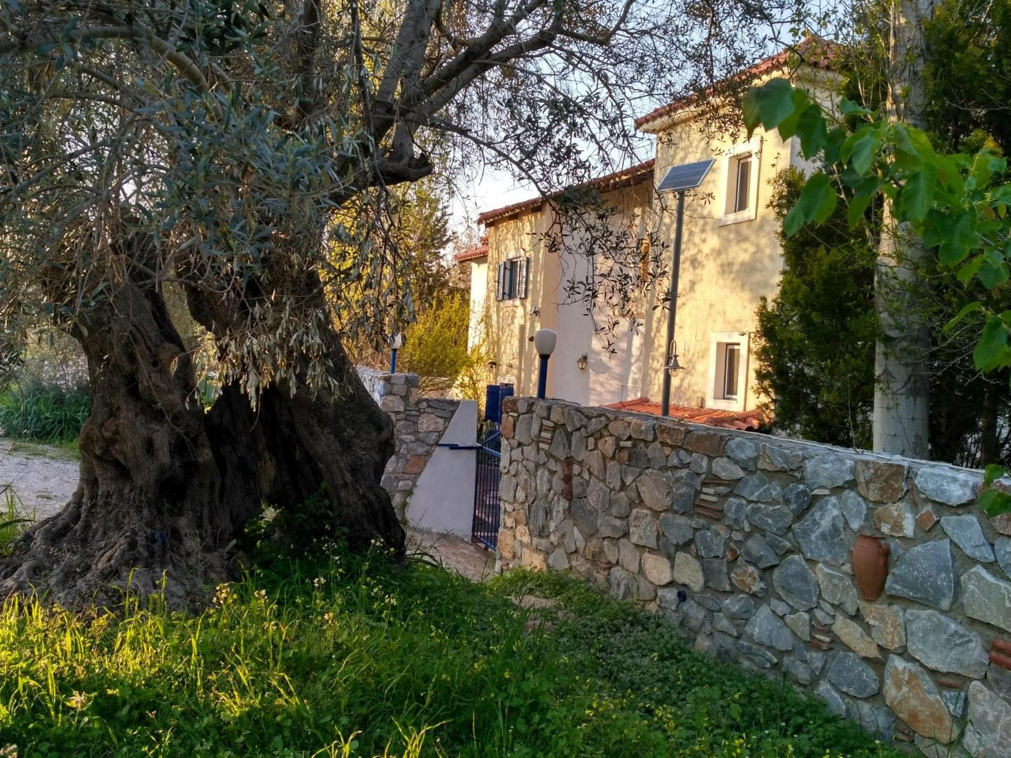 9 Musses Hotel Apartments Skala Mistegnon 외부 사진