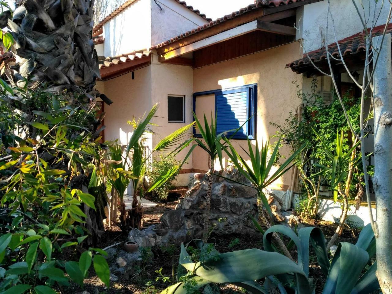 9 Musses Hotel Apartments Skala Mistegnon 외부 사진